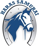 Programa - Resultados - Fotos � 7� Etapa do Ranking Escolas FEERJ 2012 - Haras Samurai - 11 de novembro